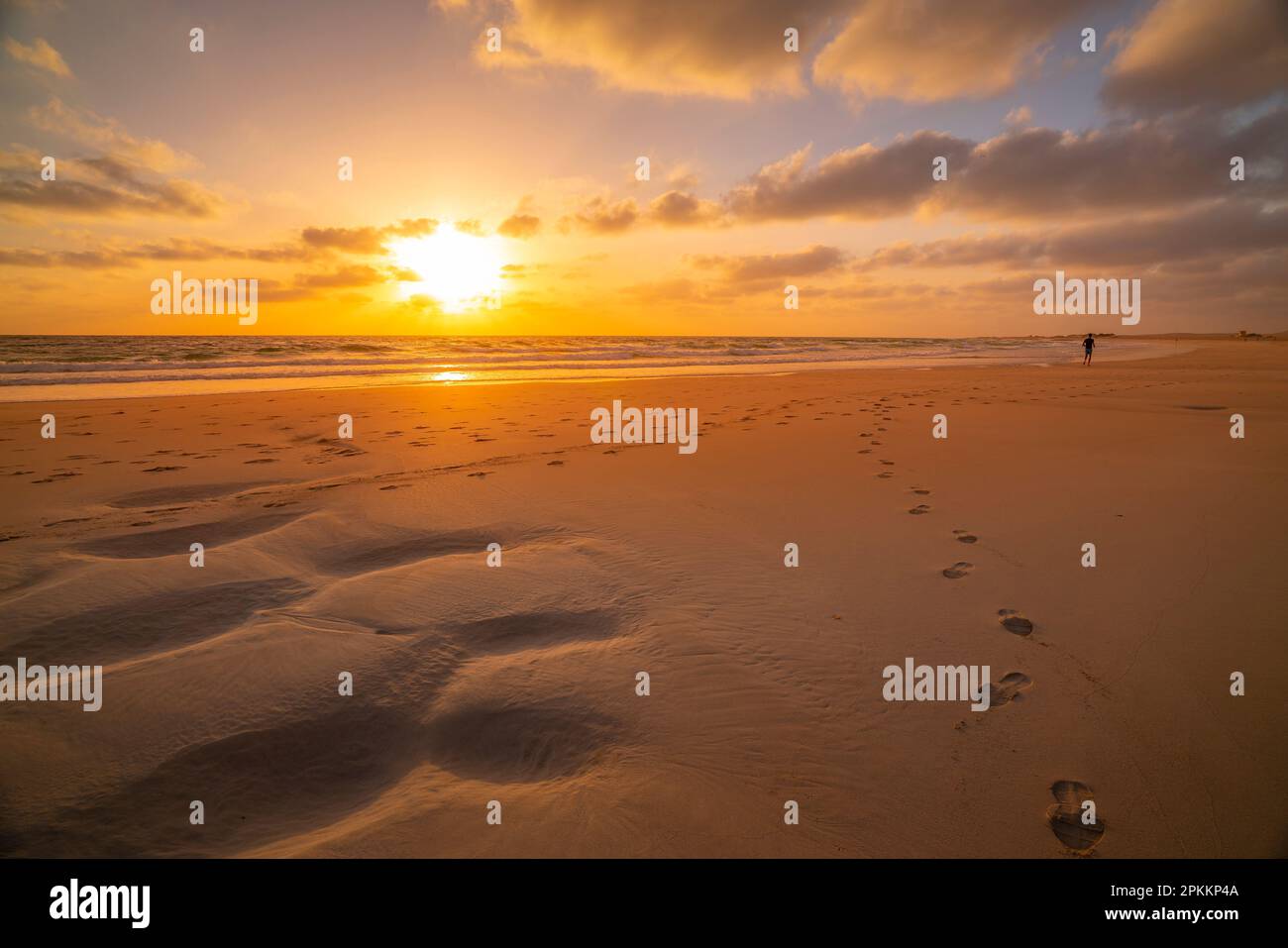 Blick auf den Strand und den Atlantischen Ozean bei Sonnenaufgang, Corralejo Naturpark, Fuerteventura, Kanarische Inseln, Spanien, Atlantik, Europa Stockfoto