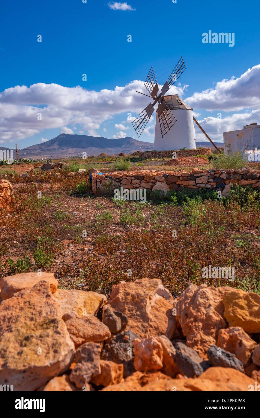 Blick auf die Windmühle in dramatischer Landschaft in der Nähe von La Matilla, Fuerteventura, Kanarischen Inseln, Spanien, Atlantik, Europa Stockfoto