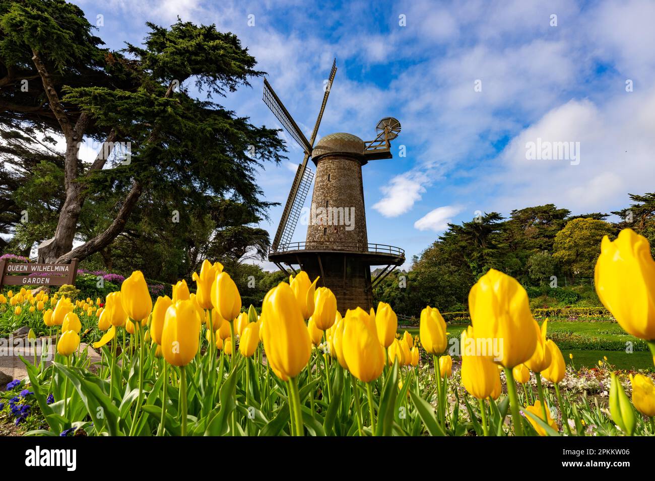 Holländische Windmühle in San Francisco | Queen Wilhemina Garden Stockfoto