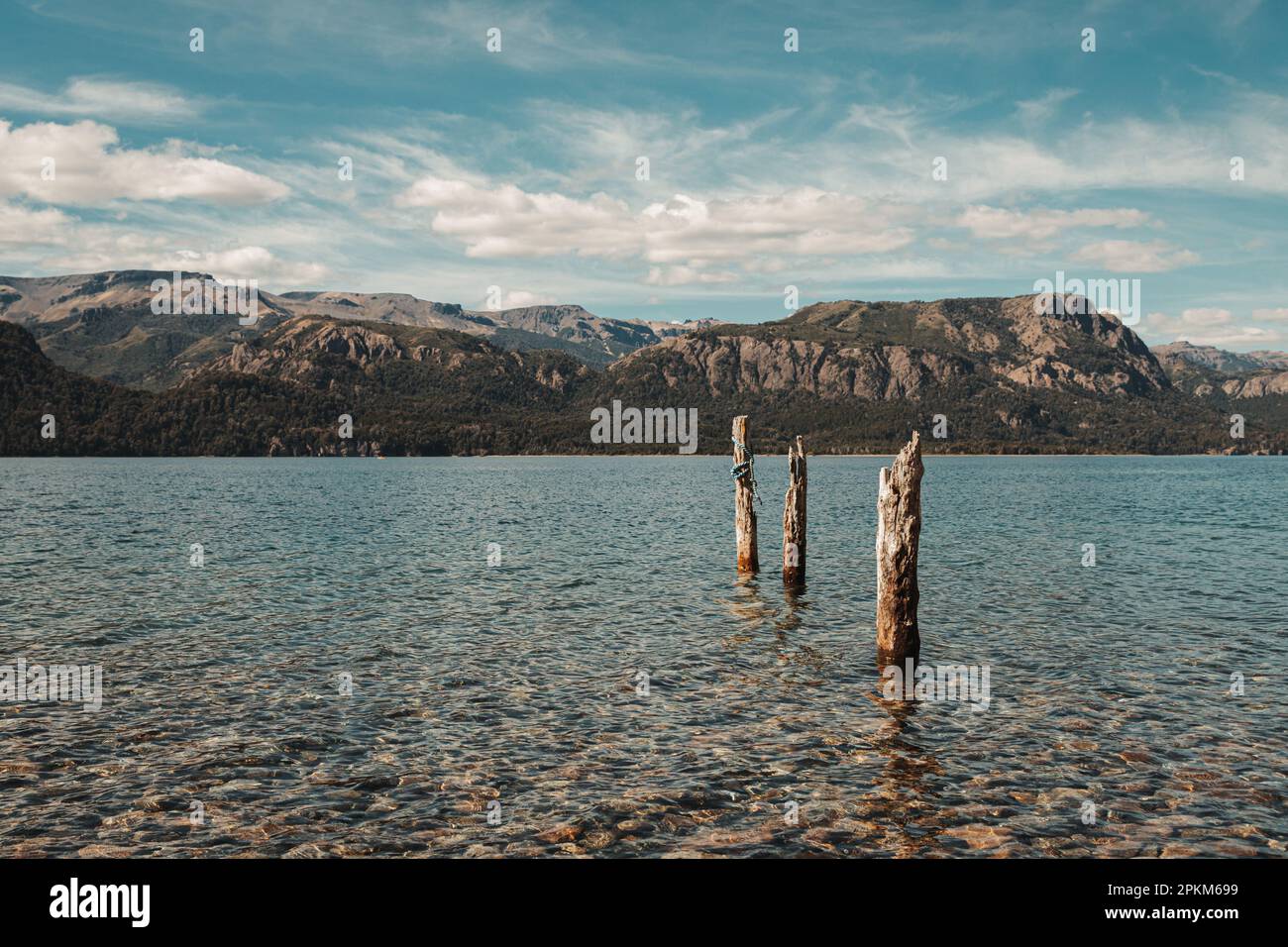 Baumstämme in einem Fluss mit Blick auf die Berge mit Wolken Stockfoto