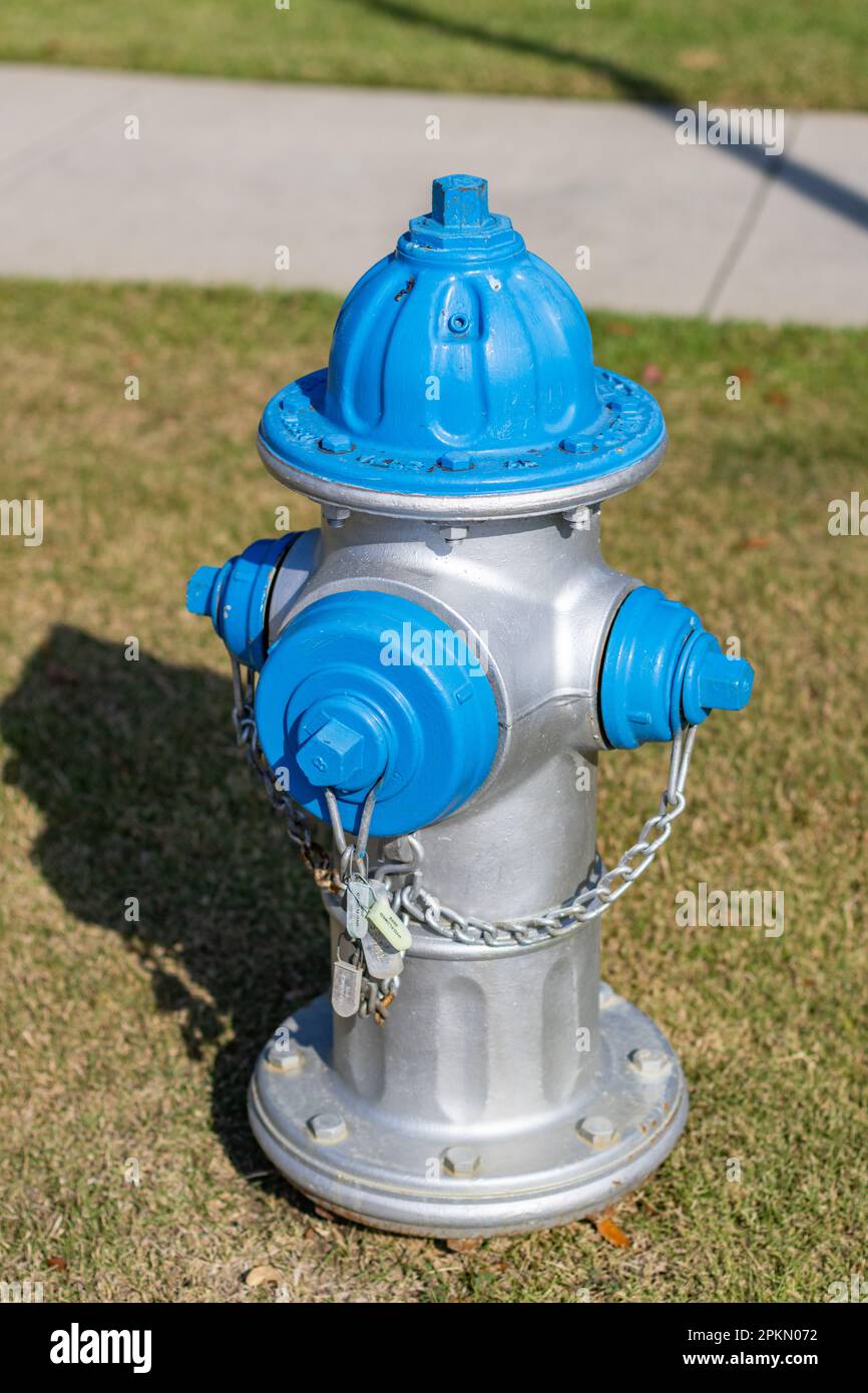 Ein Hydrant in Silber und Blau mit Gras im Hintergrund Stockfoto