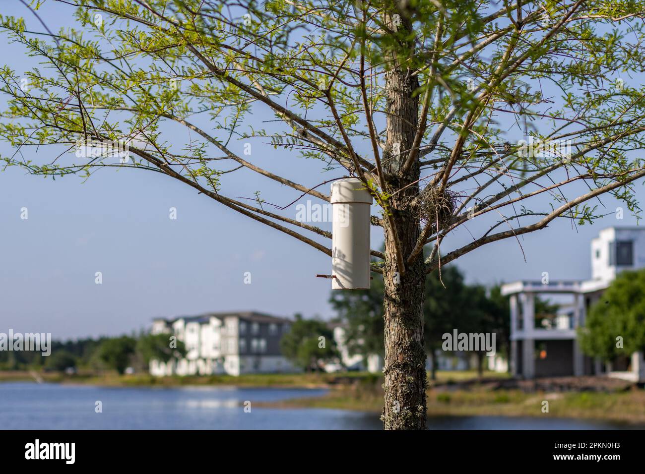 Moderne Vogelfütterung hängt an einem Baum mit grünen Blättern und einem verschwommenen See und Häusern im Hintergrund, sonniger Tag. Aufgenommen in der Gegend um den Nonasee. Stockfoto