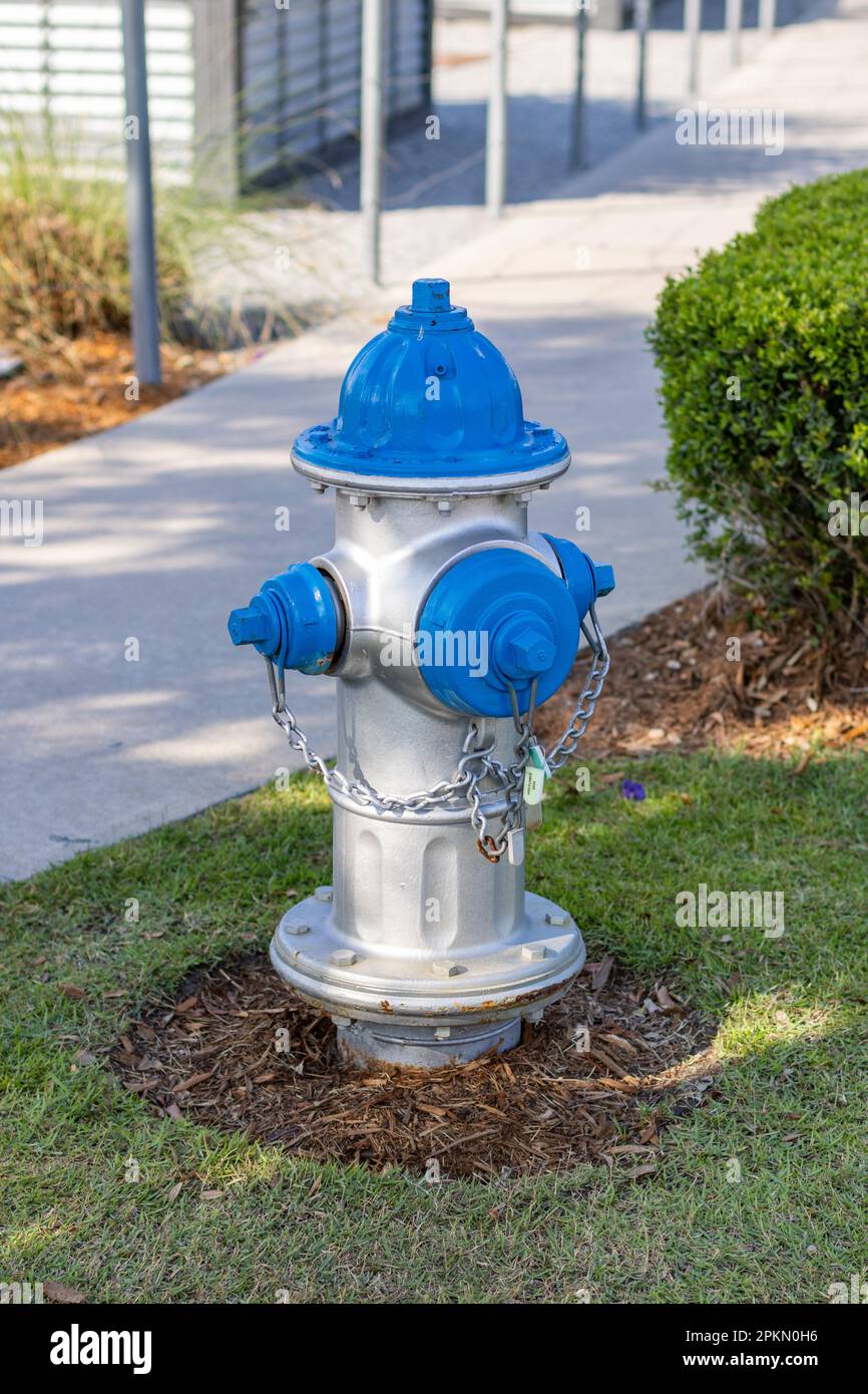 Ein Hydrant in Silber und Blau mit Gras im Hintergrund Stockfoto