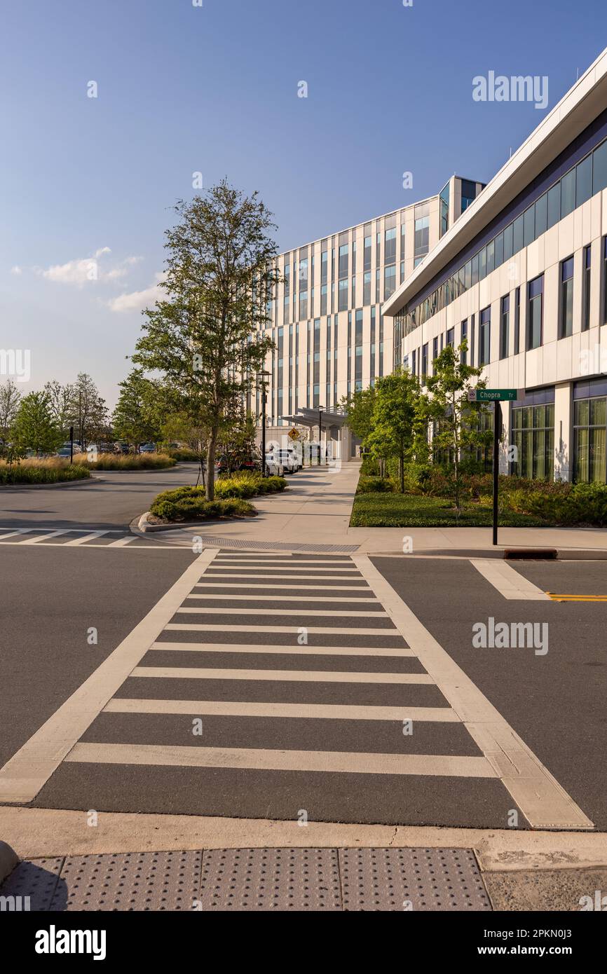 Ein Bild eines weiß bemalten Fußgängerübergangs auf der Straße führt zu einem modernen architektonischen Hintergrund. Aufgenommen in der Lake Nona Gegend, Florida. Stockfoto
