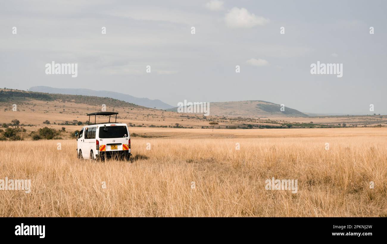 Safariwagen im offenen Savannah Stockfoto