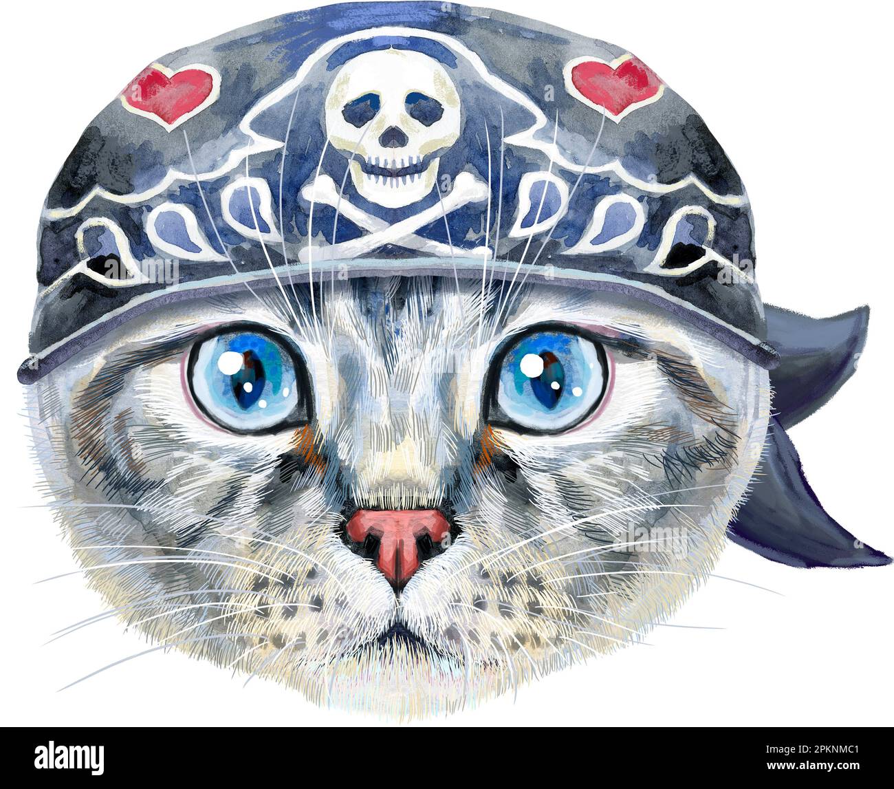 Süße Katze in einem Biker-Bandana mit einem Schädel. Katze für T-Shirt-Grafiken. Aquarell schottische Faltkatzenrasse Illustration Stockfoto