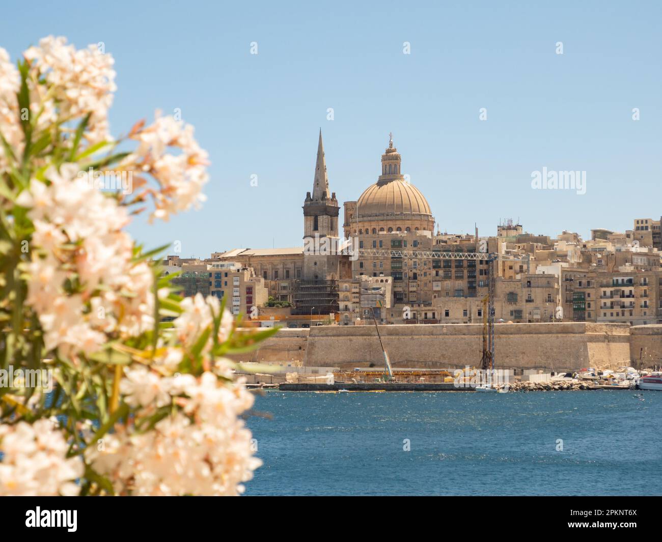 Valletta, Malta - 2021. Mai: Blick auf das historische Zentrum von Valletta von der Insel Manoel. Blühende Blüten auf Vordergrundbüschen, Malta. Europa Stockfoto