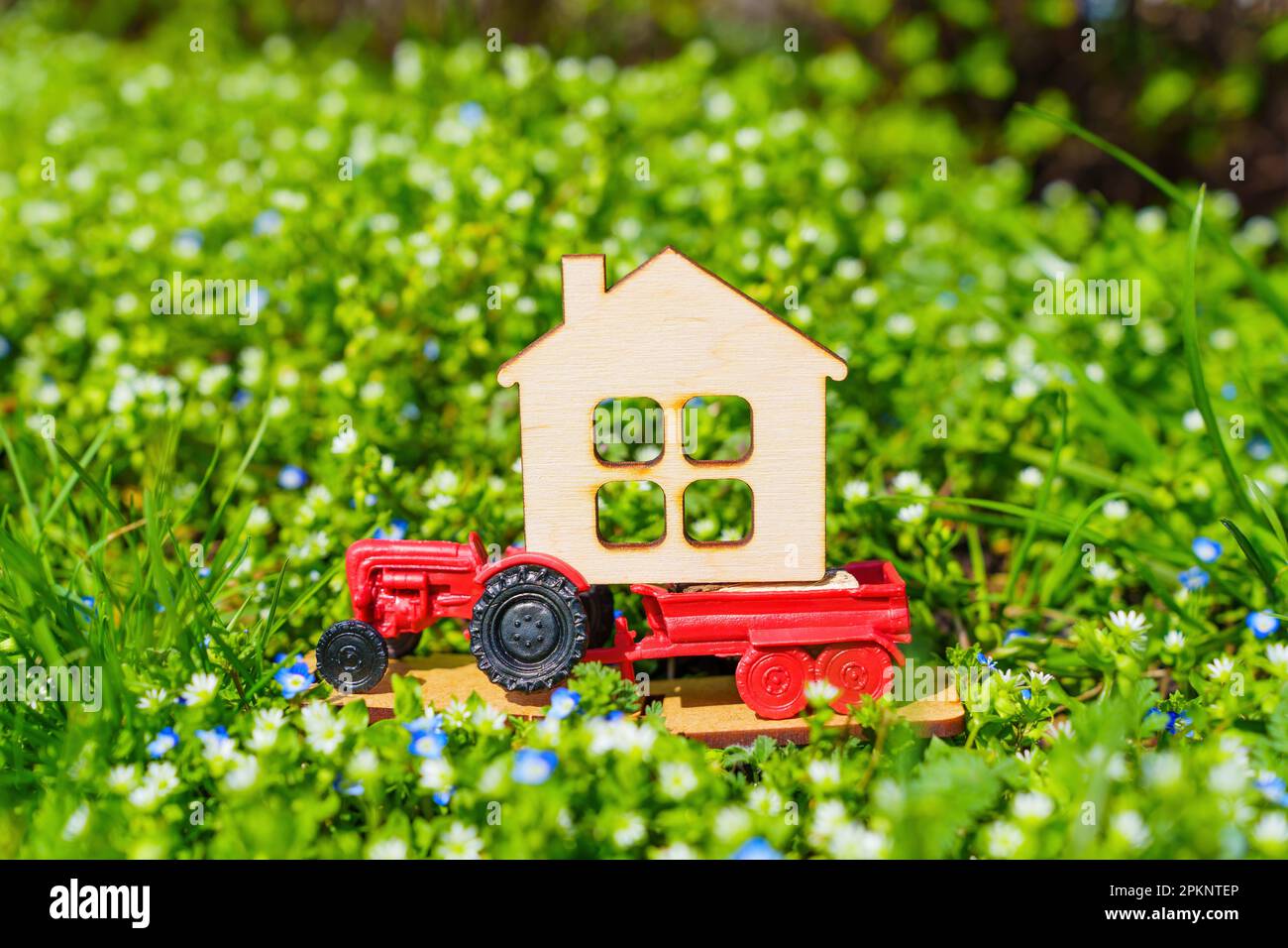 Die Essenz des Landlebens im Frühling, mit einem Spielzeugtraktor, der ein Miniatur-Flachhaus auf einem Blumenbeet aus grünem Gras und Colo trägt Stockfoto