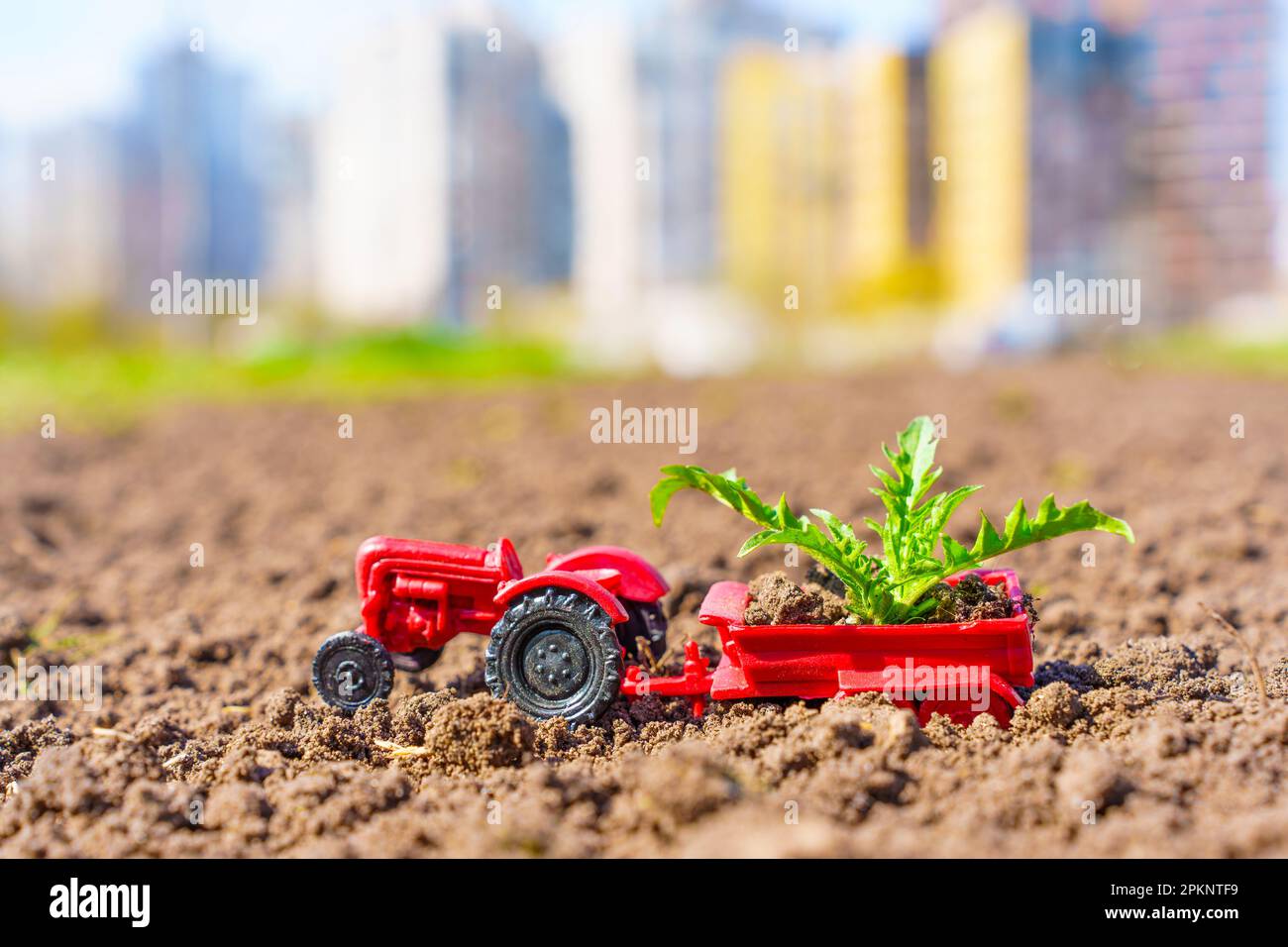 Miniatur-Spielzeugtraktor mit Löwenblättern auf frisch gepflügtem Boden und verschwommenem Stadtbild im Hintergrund, das das Konzept des Frühlings repräsentiert Stockfoto
