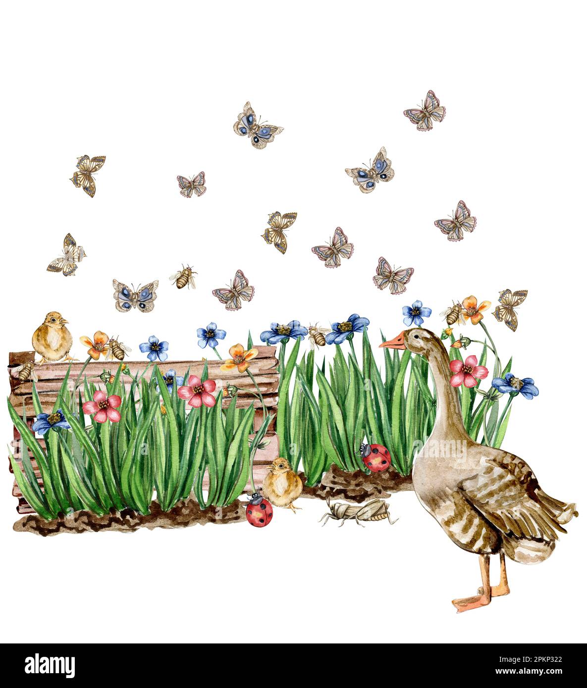 Frühlingsblumen-Komposition mit einer Gans, Aquarell-Illustration für Karten, Hintergründe, Sammelalben. Handgezeichneter Cartoon-Hintergrund mit Blumen Stockfoto