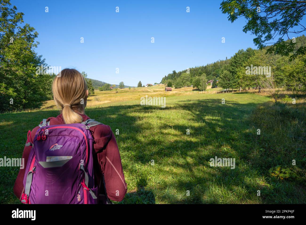 Frau, die auf dem Wanderweg Sprollenhäuser Hut, Bad Wildbad, Schwarzwald, Deutschland, Europa in die Ferne schaut Stockfoto