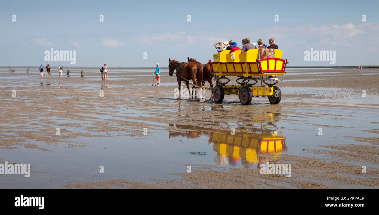 Pferdekutsche auf den Schlammgebieten, Niedersächsischer Waddenmeer-Nationalpark, Cuxhaven, Niedersachsen, Deutschland, Europa Stockfoto