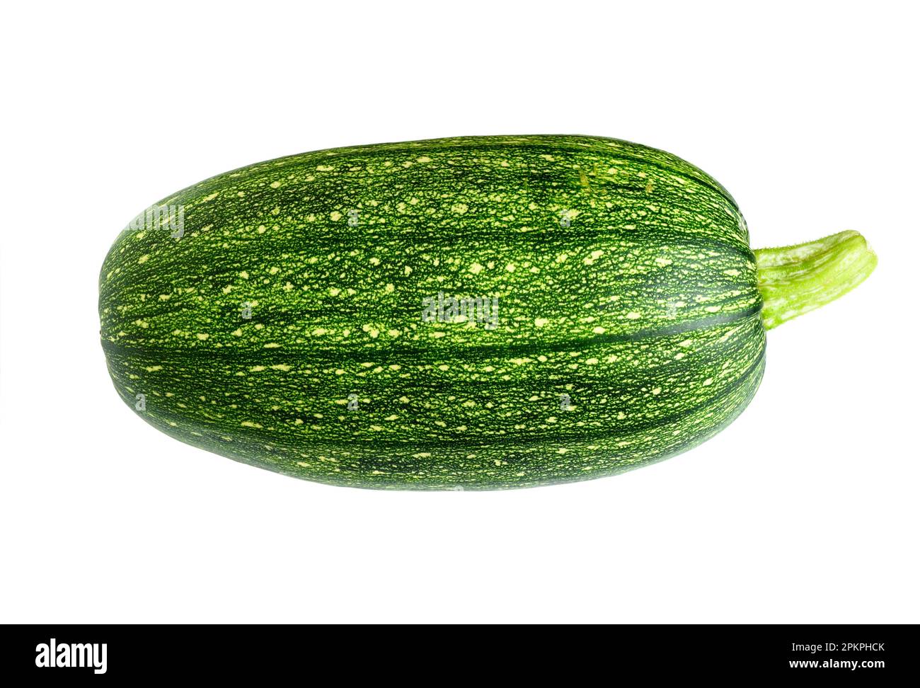 Gemüsemarkzucchini, isoliert auf weißem Hintergrund. Fotografie eines frischen Kürbiss. Thema Zucchini, Bio-Lebensmittel, Natur. Stockfoto