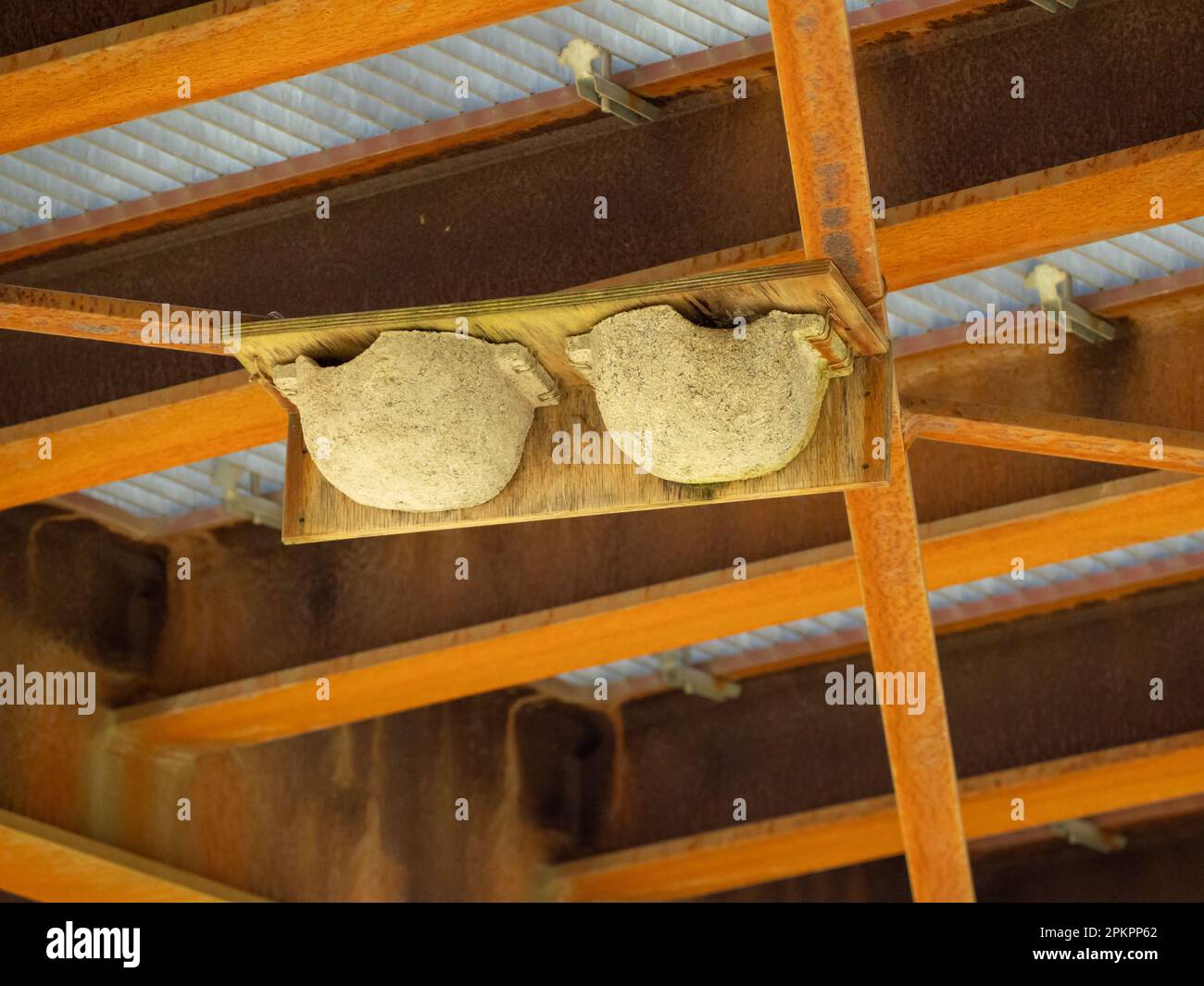 Unter der Brcke hngen Sie knstliche Nester fr Schwalben auf. Vogelhaus  fr Schwalben Stockfotografie - Alamy