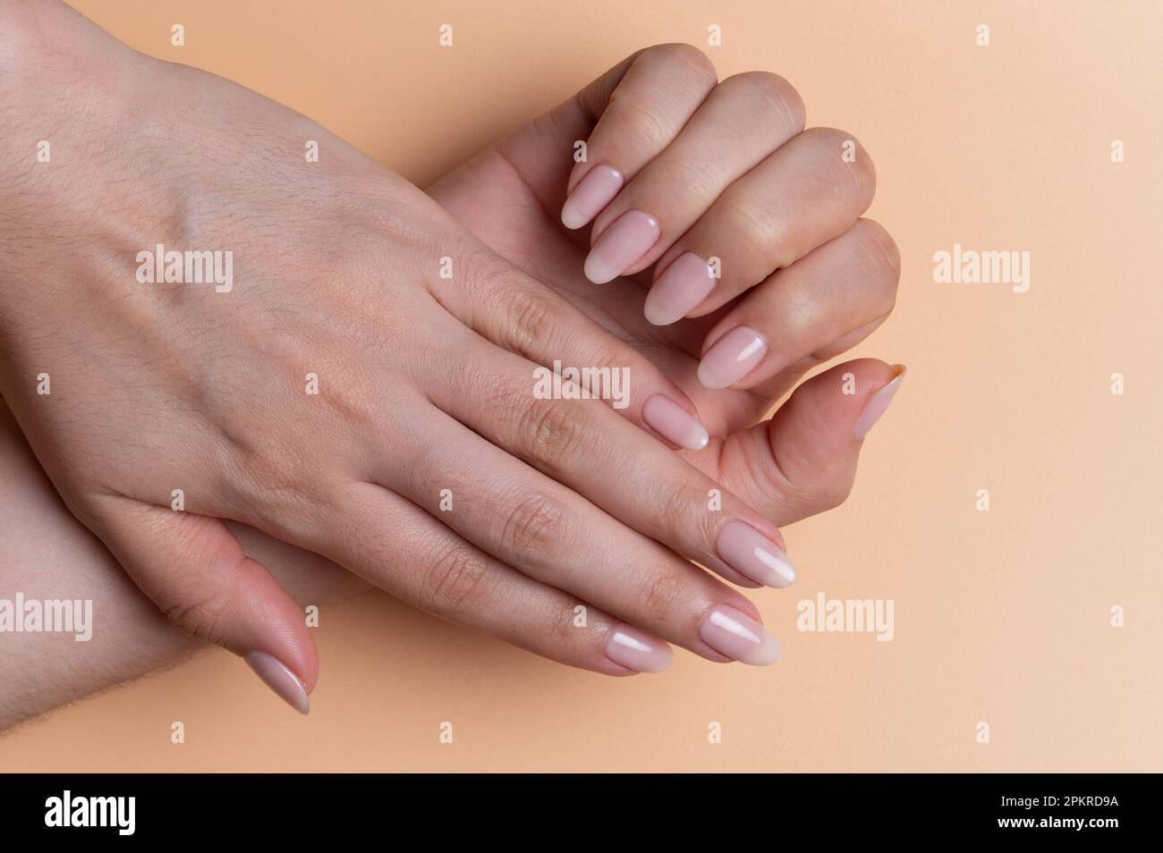 Frauen-Pediküre-Thema. Hübsche Hände mit polierten und lackierten Nägeln Stockfoto