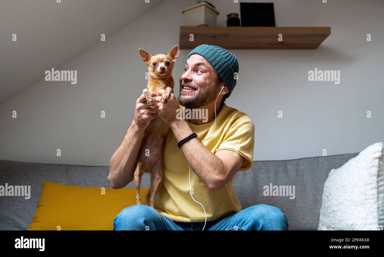 Hundespielzeugterrier und sein Besitzer zusammen zu Hause Stockfoto