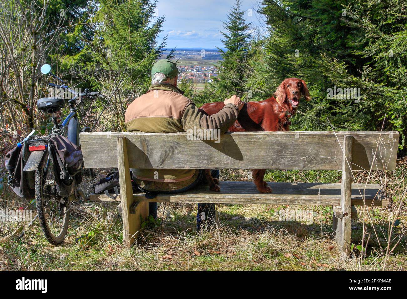 Ein älterer Mann ist mit seinem irischen Setter-Hund durch den Wald zum Aussichtspunkt „Bänkle“ gefahren und genießt die wunderschöne Aussicht. Stockfoto