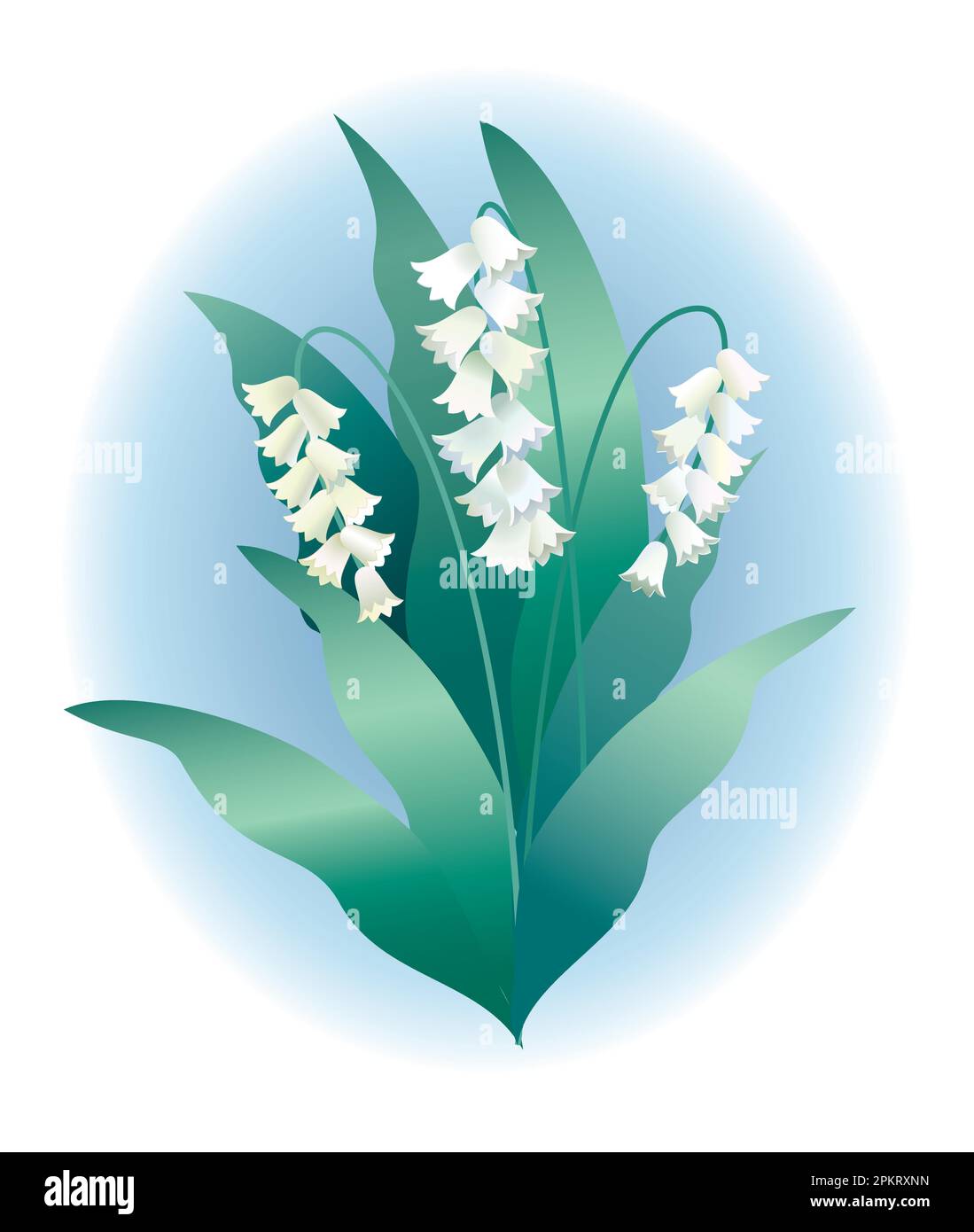 Lily of the Valley – eine vollständig bearbeitbare Vektordarstellung, die aus Gründen der optimalen Kompatibilität in Illustrator 6,0 gespeichert wurde. Vollständig gerenderte Komponenten. Stock Vektor