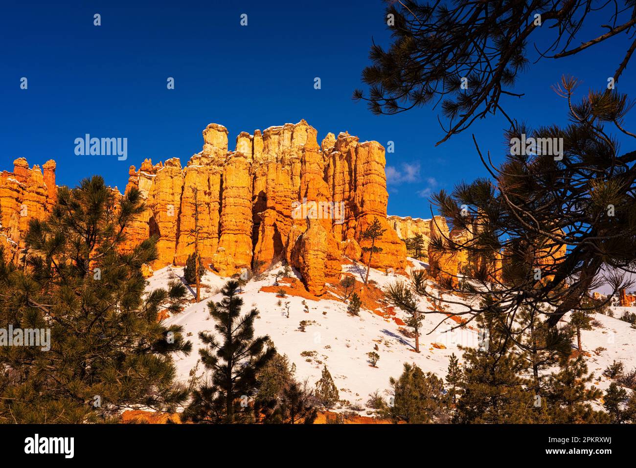 Winter am Mossy Cave Trailhead in der Nähe von Bryce Canyon und Tropic, Utah Stockfoto