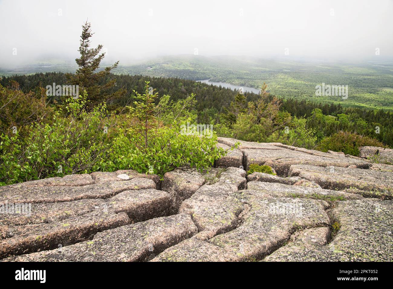 Neblige aussicht vom Cadillac Mountain im Acadia National Park in der Nähe von Bar Harbor in Maine Stockfoto