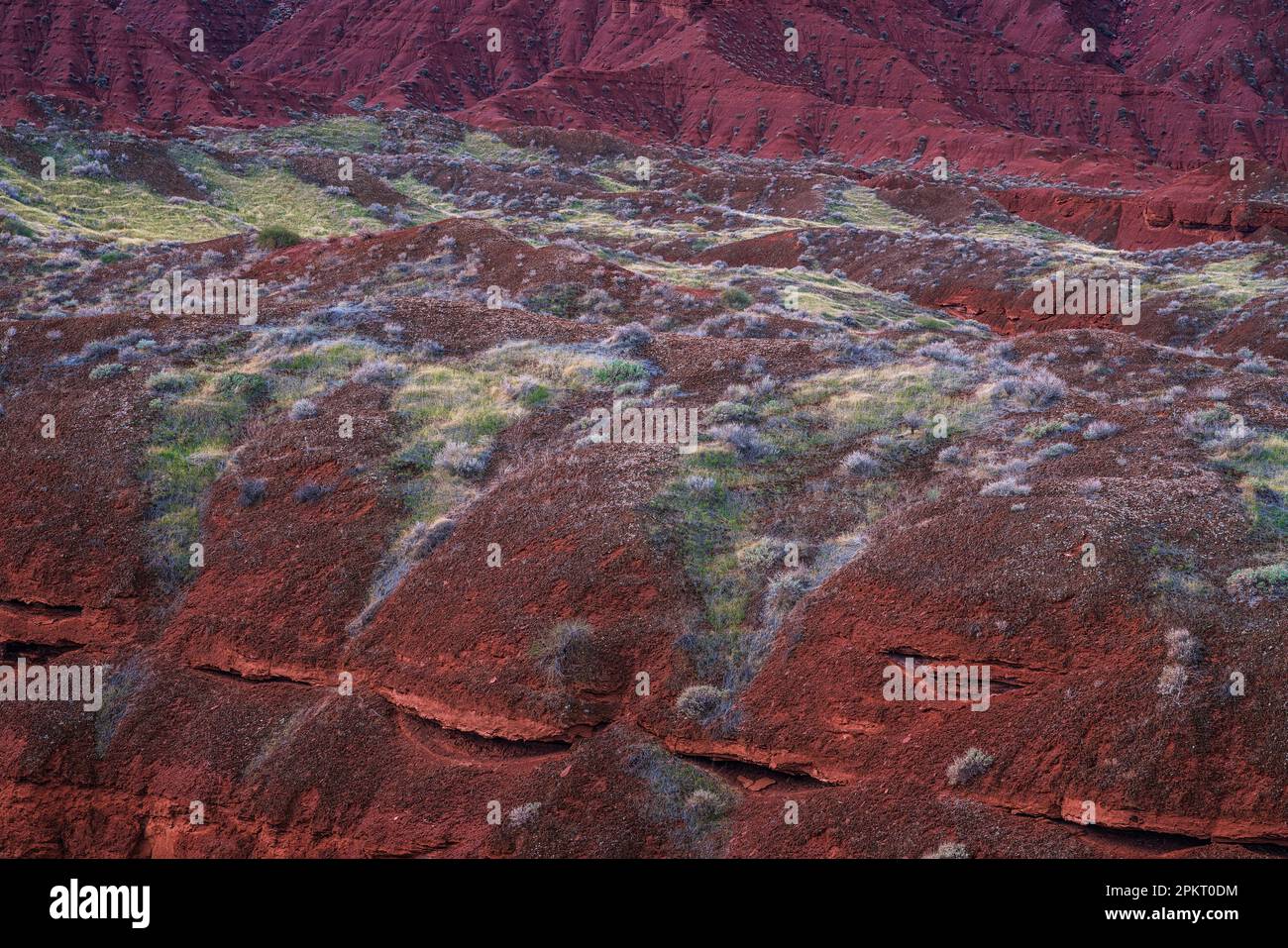 Bunte Flora und Geologie im Castle Valley bei Moab, Utah Stockfoto