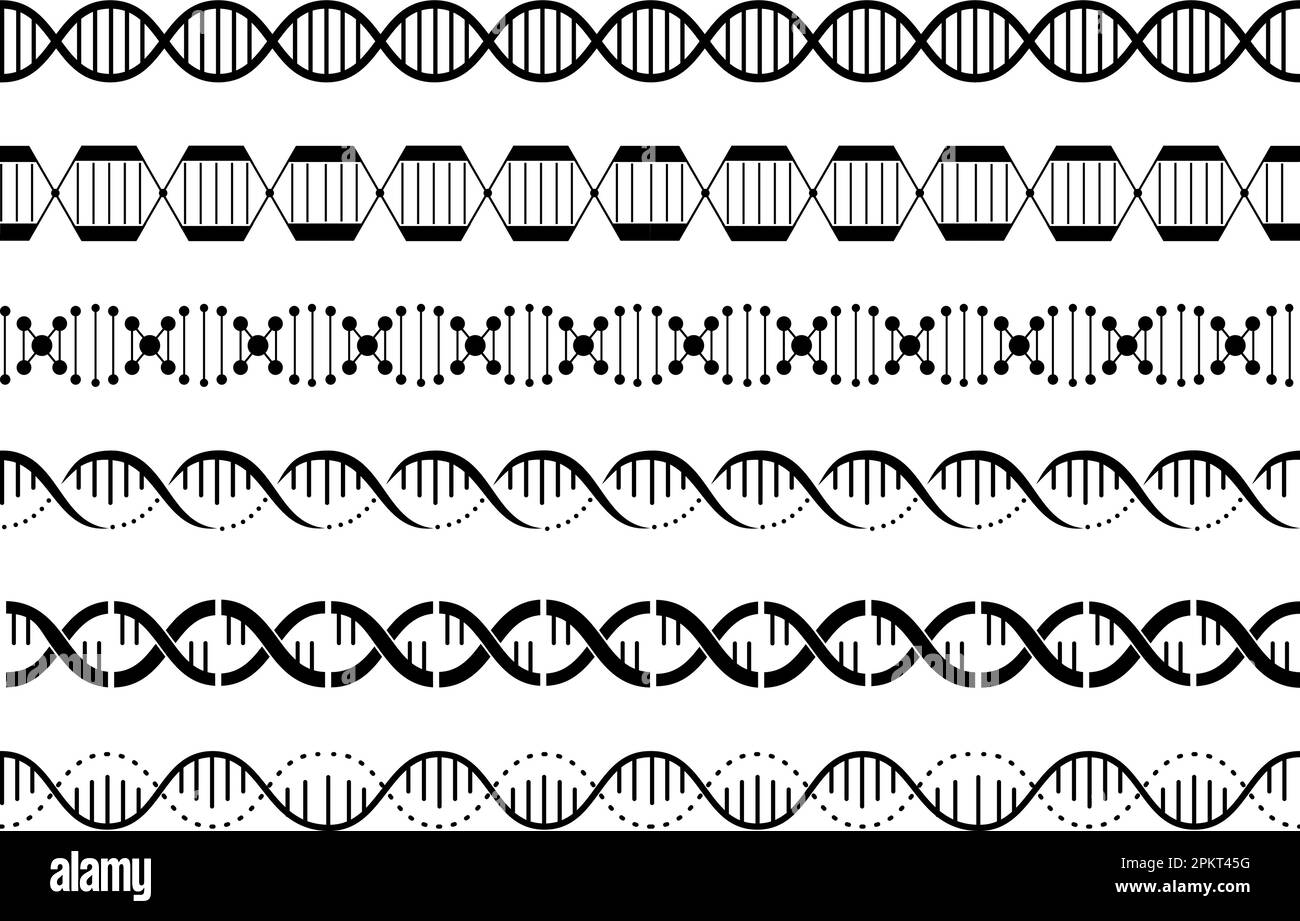DNA-Spiralen nahtloses Muster. Genetische Helix-Grenzen, Genketten-Grafikelemente. Einfache biologische Wellen, Gene-Strukturen, ein anständiger Vektorsatz Stock Vektor