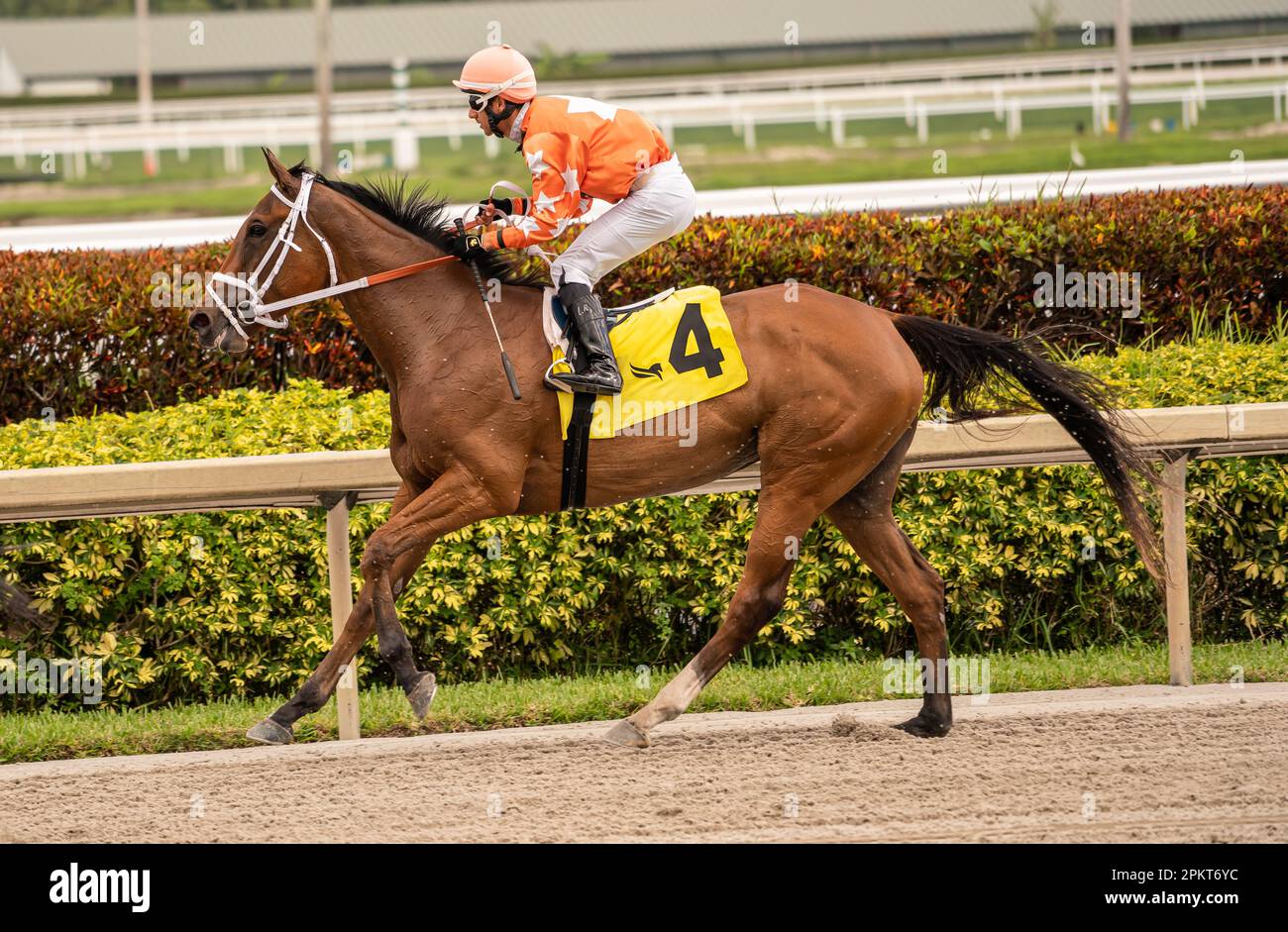 Gulfstream Park and Horse Track, Miami, Florida 9. April 2023 Jockey