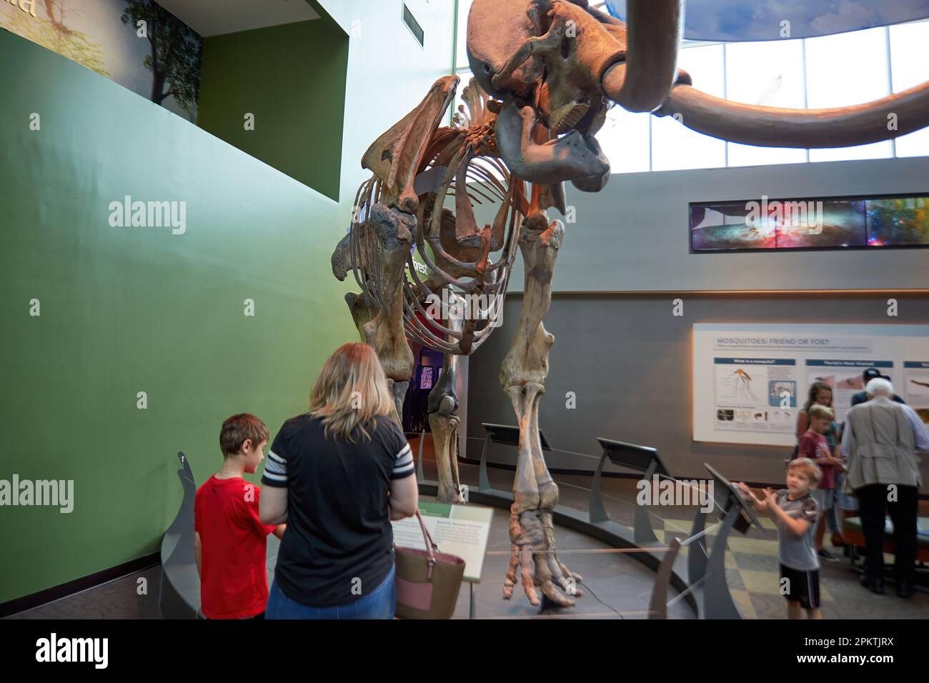 Gainesville, Florida, USA. 8. April 2023: Das Florida Museum of Natural History ist Floridas offizielles staatlich gefördertes und gechartertes Naturkundemuseum. Stockfoto