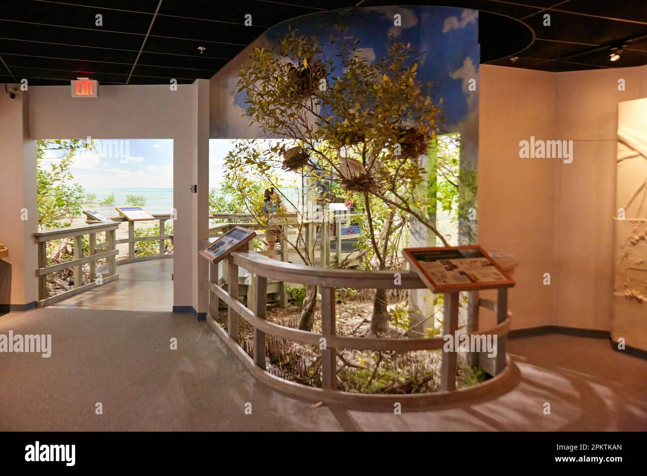 Gainesville, Florida, USA. 8. April 2023: Das Florida Museum of Natural History ist Floridas offizielles staatlich gefördertes und gechartertes Naturkundemuseum. Stockfoto