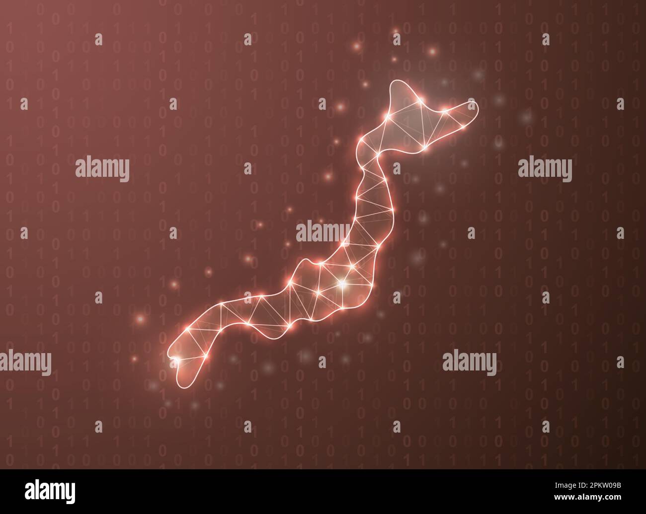 Polygonales Symbol in Japan mit binärem Code-Hintergrund. Darstellung des japanischen Kartenkonzepts. Länderkarte niedrig Polysymbol Stock Vektor