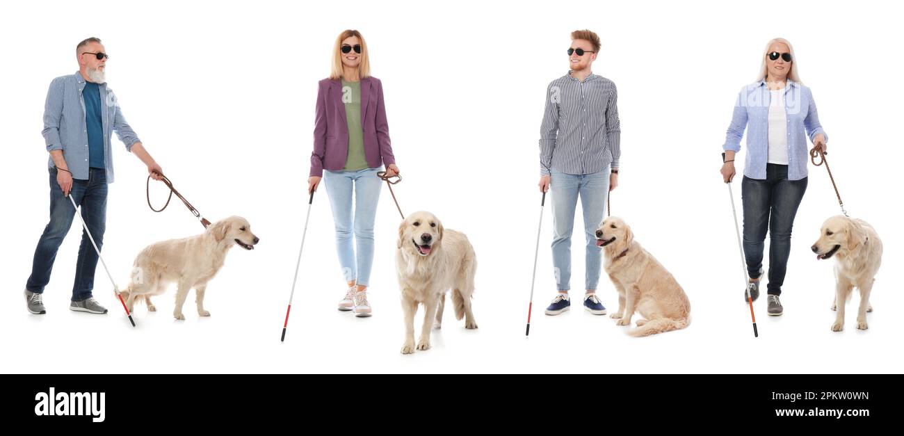 Blinde mit langen Stöcken und Blindenhunde auf weißem Hintergrund. Bannerdesign Stockfoto