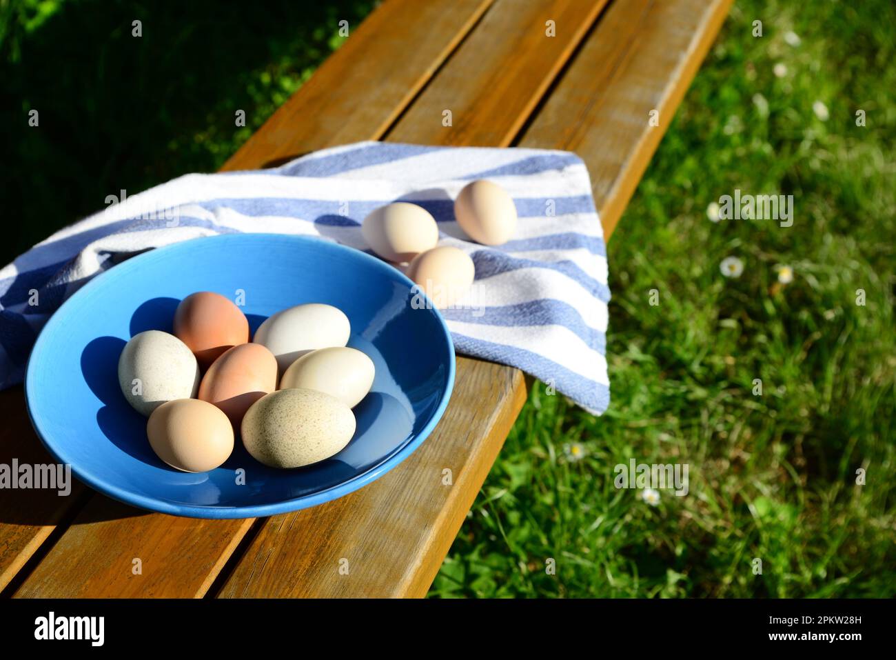 Teller und Serviette mit verschiedenen Eiern auf einem Holztisch im Freien Stockfoto