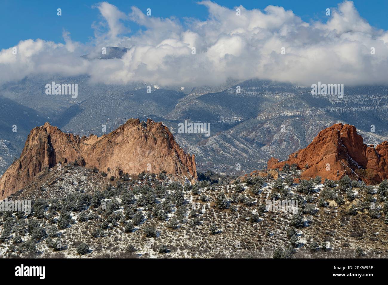 Frischer Schnee von einem Sturm im Frühling im Garden of the Gods Colorado Stockfoto