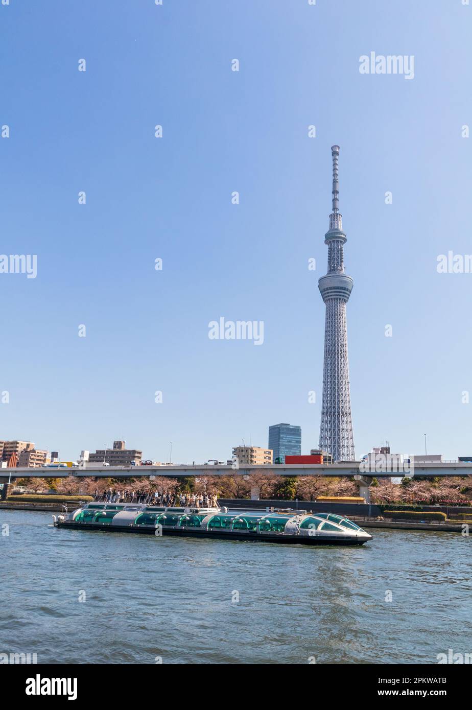 Tokio, Japan - 20. März 2023: Tokyo Skytree Tower in Tokio, Japan. Der Fernsehturm ist das 2. höchste Gebäude der Welt. Stockfoto