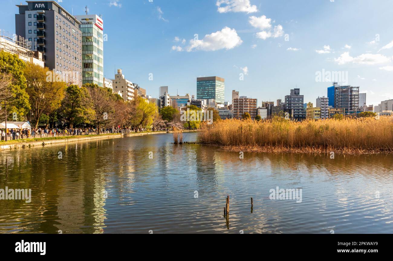 Tokio, Japan - 20. März 2023: Stadtbild von Tokio und Shinobazuno-Teich vom Ueno-Park in Tokio, Japan aus gesehen. Stockfoto