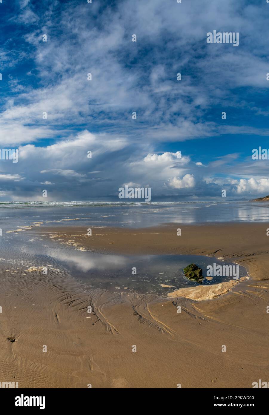 Das Wasser des Gezeitenpools spiegelt den lebendigen Himmel wider und umgibt einen einsamen Felsen, der von Algen bedeckt ist, an einem Strand an der Pazifikküste Stockfoto