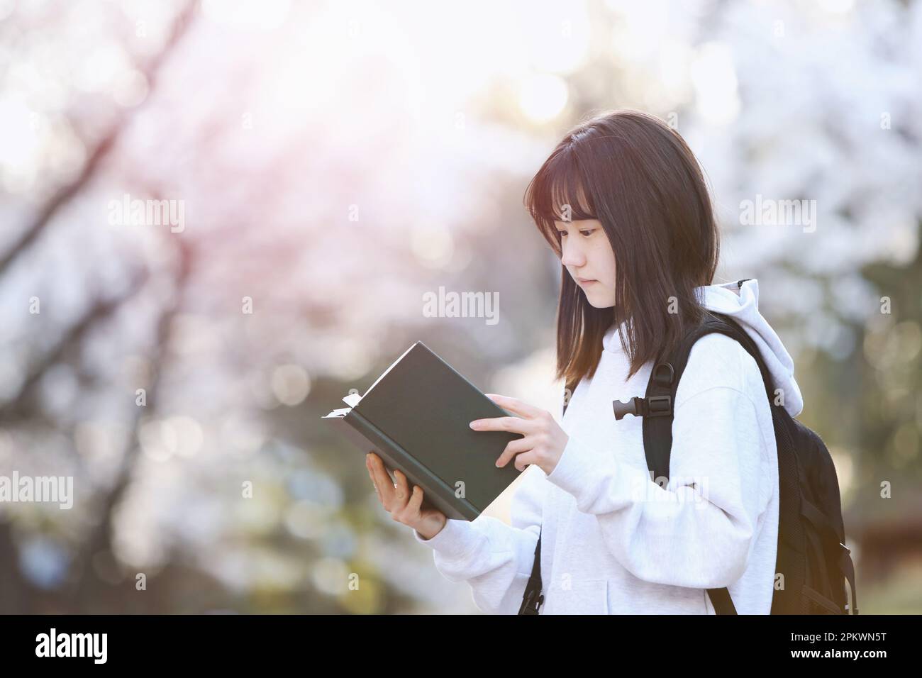 Eintrittszeit Frühjahrsschülerin, High School Student und College Student Konzept mit Rucksack Lesen vor Kirschblüten Bäumen Stockfoto