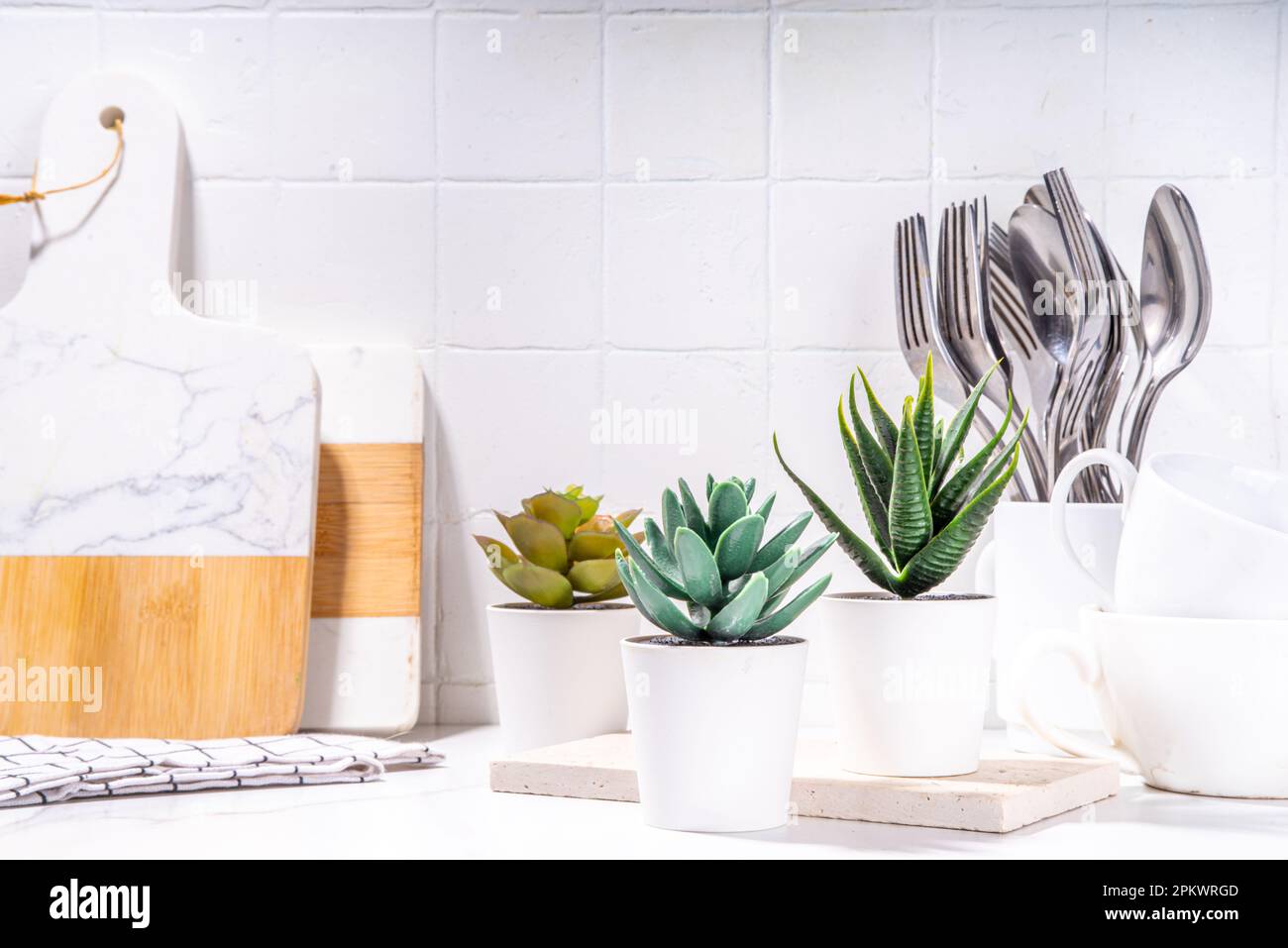 Hausgärtnern, Pflanzen in der Küchenecke. Weiße Töpfe mit verschiedenen Sukkulenten auf dem Küchentisch mit Utensilien, Schneidebrettern, weißer Marmorrücken mit Fliesen Stockfoto