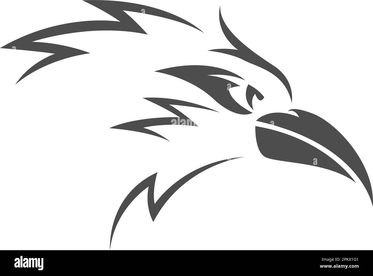 Abbildung des Roadrunner Logo-Symbols Stock Vektor