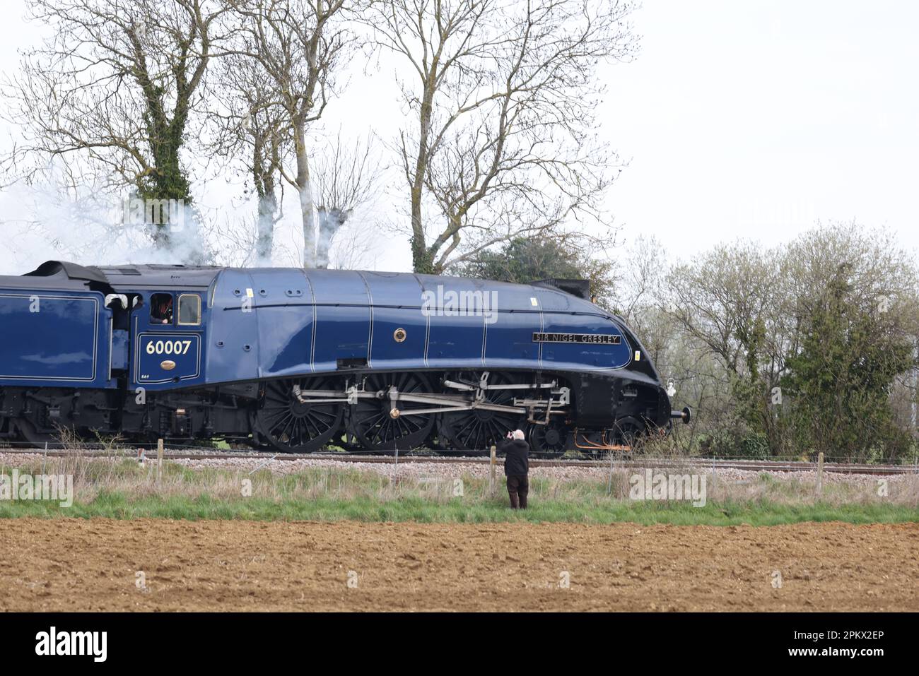 Die Dampflokomotive Sir Nigel Gresley 60007, die in der BR Blue-Lackierung glänzend aussieht und in Richtung Peterborough fährt, bevor der Zug das Wochenende mit der Nene Valley Railway in Peterborough, Cambridgeshire, verbringt. Stockfoto