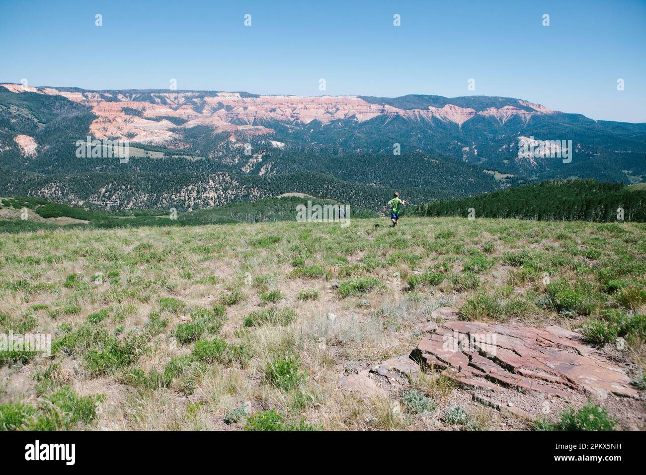 Ein Junge rennt im Sommer den grünen Hügel hinunter mit Bergen und Wäldern Stockfoto