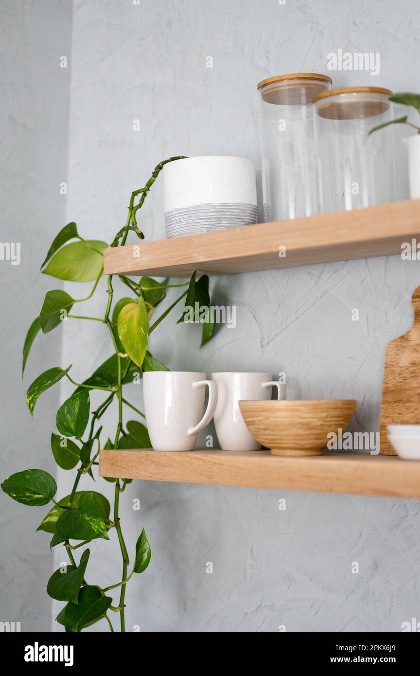 Topfpflanzen und Küchengeschirr auf modernen Holzregalen an Gipswänden Stockfoto
