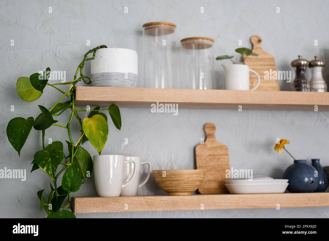 Topfpflanzen und Küchengeschirr auf modernen Holzregalen an Gipswänden Stockfoto