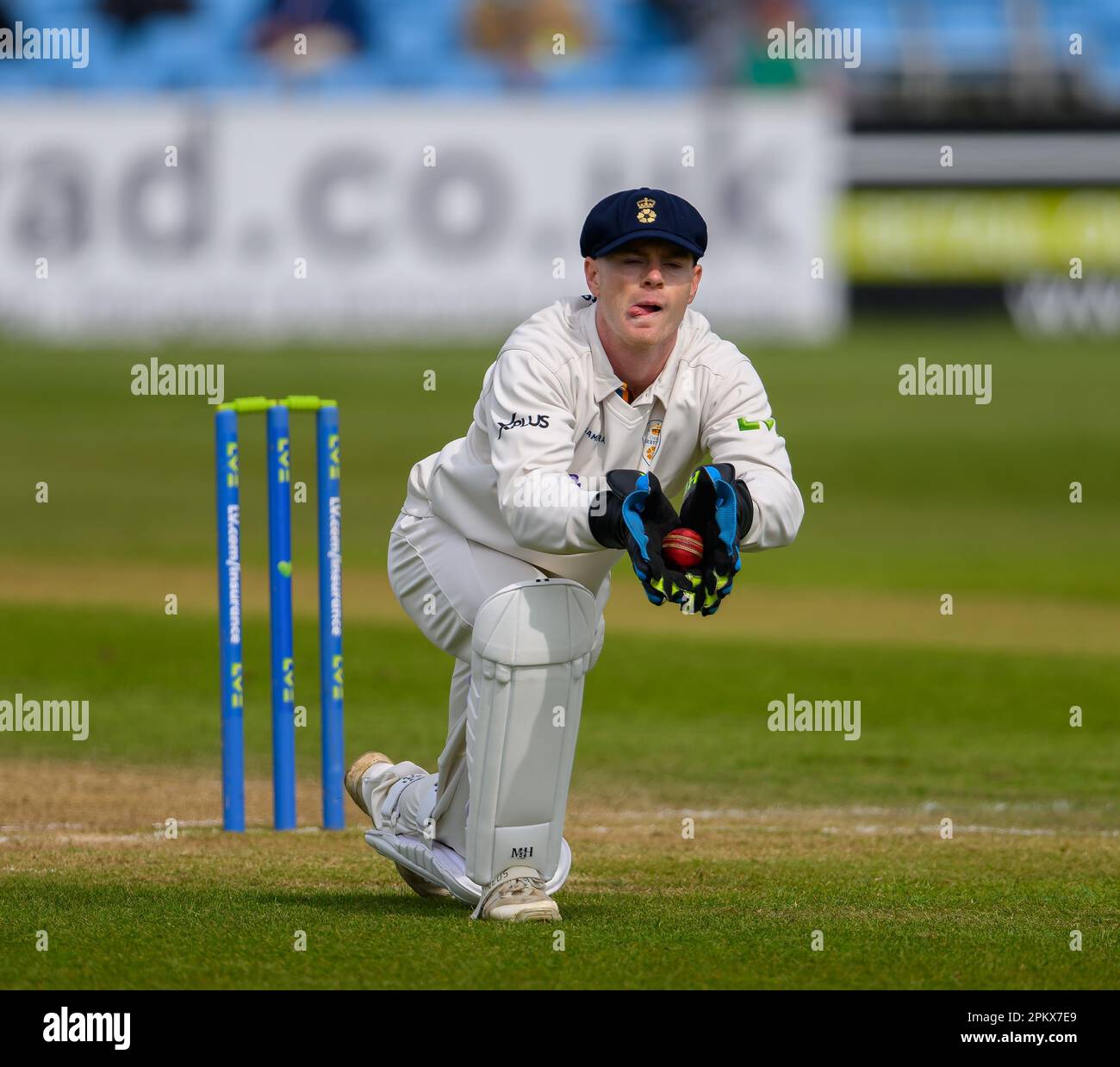 Derbyshire Keeper Brooke Guest in Aktion während eines County Championship-Spiels gegen Worcestershire Stockfoto