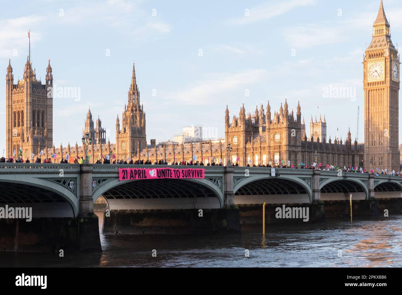 Aussterbende Rebellion-Aktivisten führen einen Banner-Drop auf der Westminster Bridge durch, in dem sie „Unite to Survival“ erklären und zukünftige Klimaproteste propagieren. Stockfoto