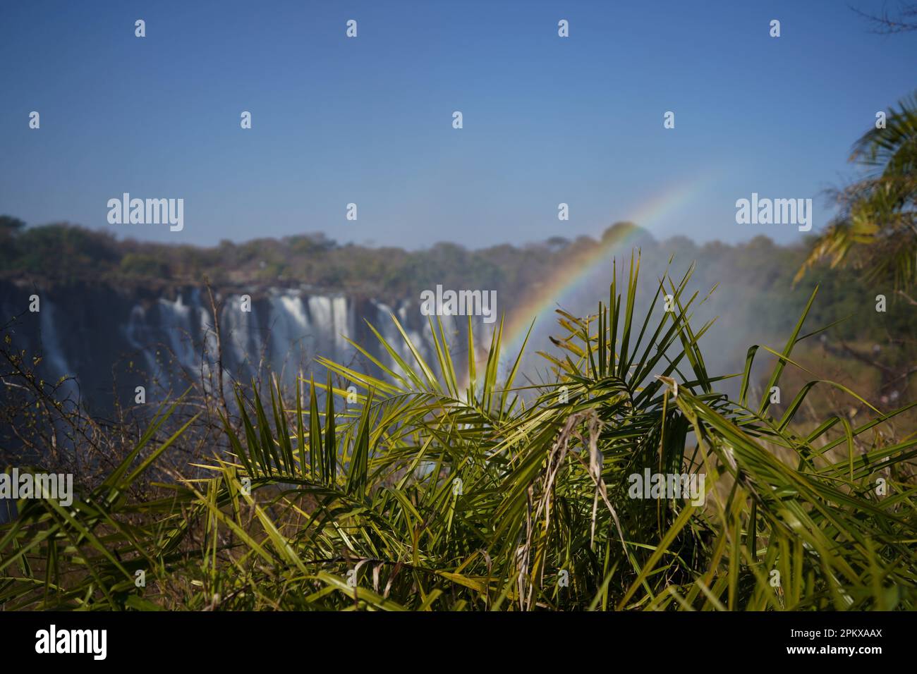 Regenbogen über den Victoria Falls in Sambia Stockfoto