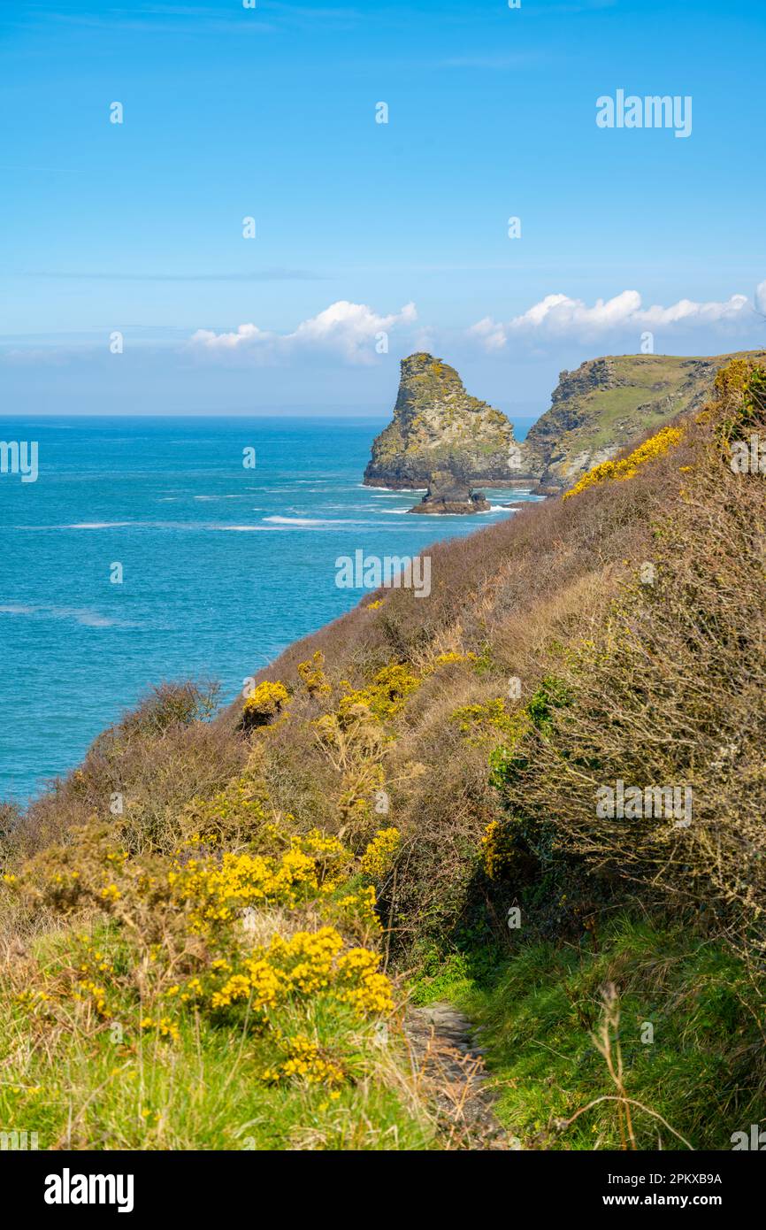 Von Bossiney Haven aus in nördlicher Richtung an der Küste von Cornwall zwischen Bocastle und Tintagel Stockfoto