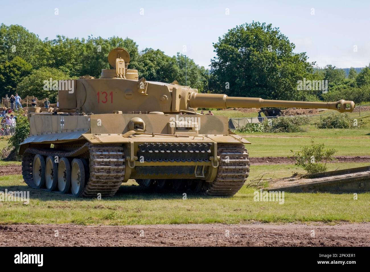 Tiger 131 Stockfoto