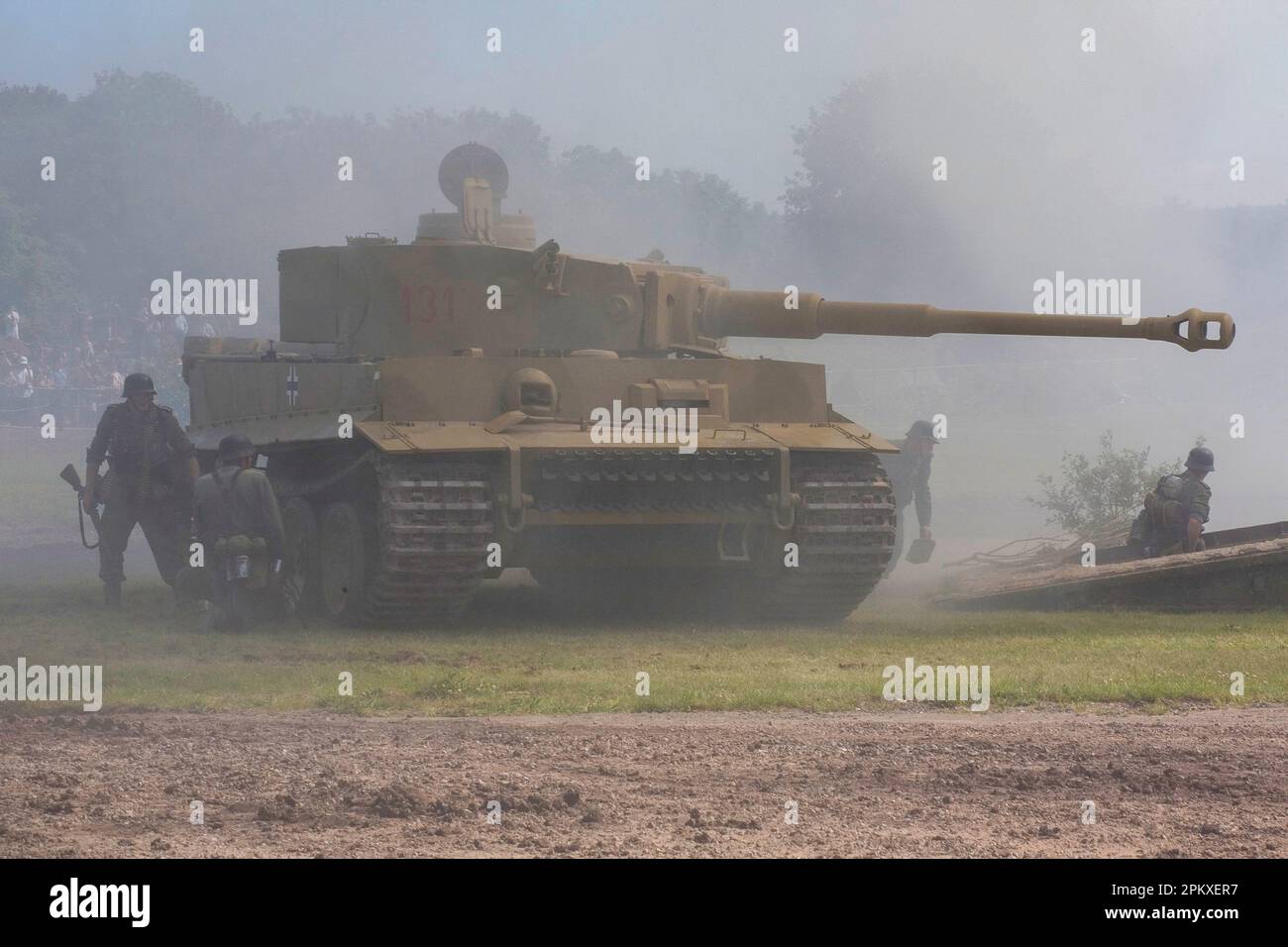 Tiger 131 Stockfoto