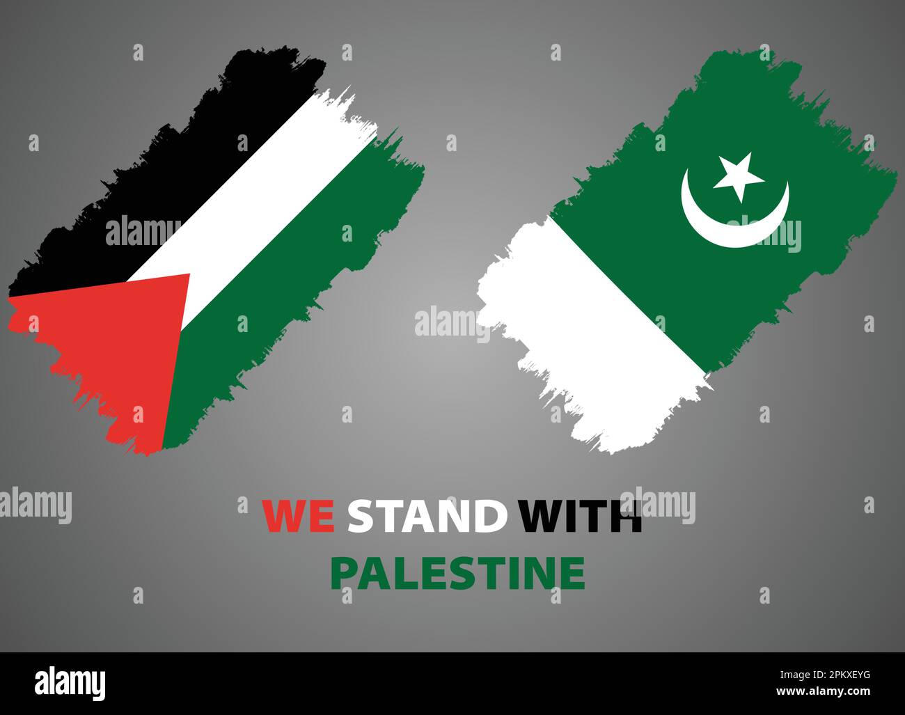 Pakistan- und Palästina-Flagge in vollständig bearbeitbarer Datei im Vektorformat Stock Vektor